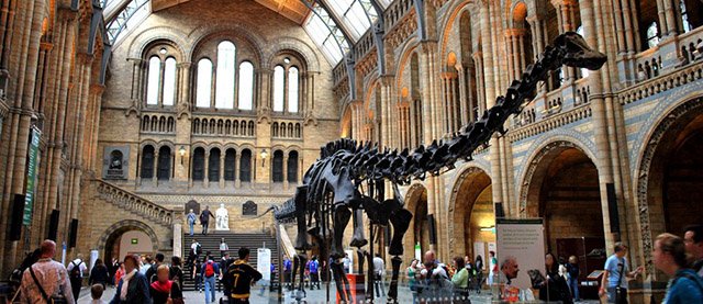 elondres-natural- history- museum