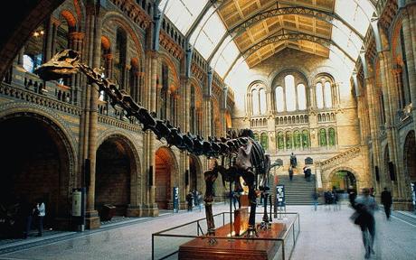 Nat_hist_1250628c
